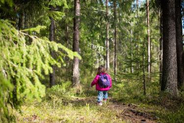 Forest School Movement Transforms Urban Child Education